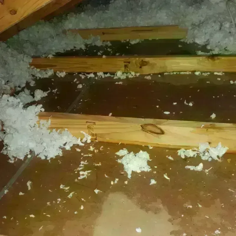 Attic Water Damage in Montalvin, CA